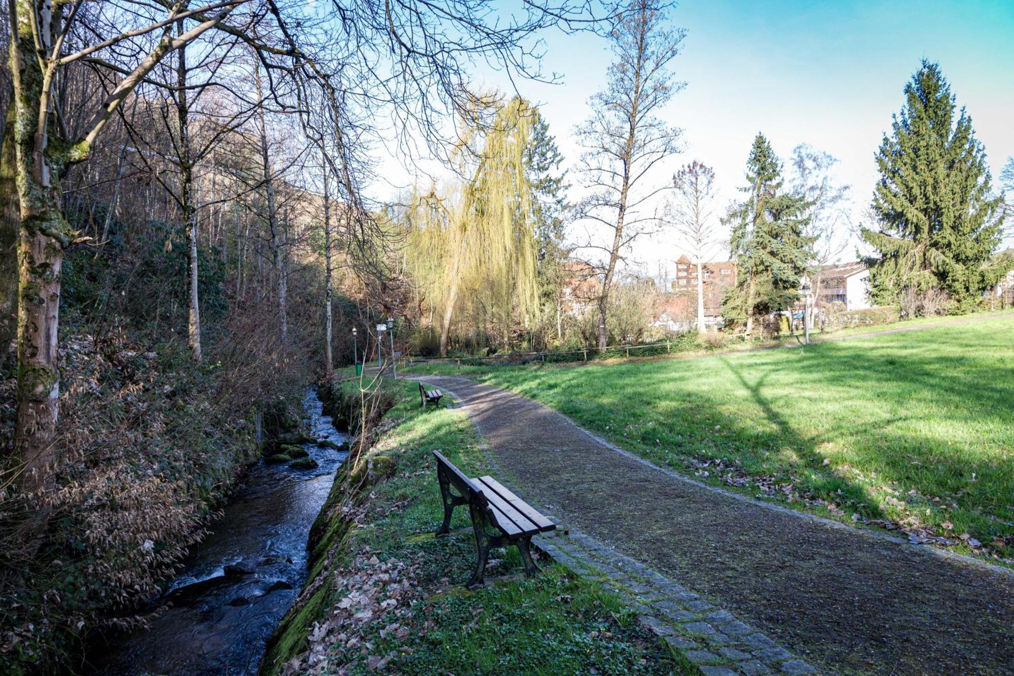 Living Timeless - Adler Apartments Sasbachwalden Extérieur photo